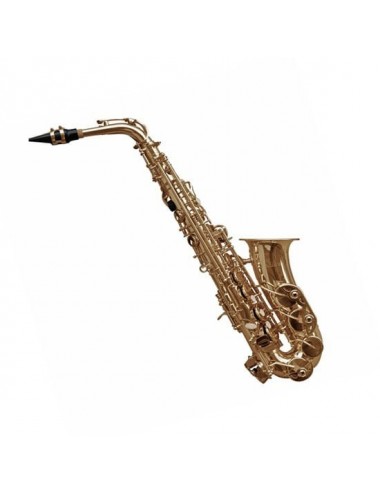 Baldassare 6430l Gd Saxo...