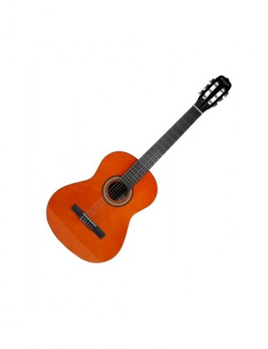 Vizcaya Arcg44 Nt Guitarra...
