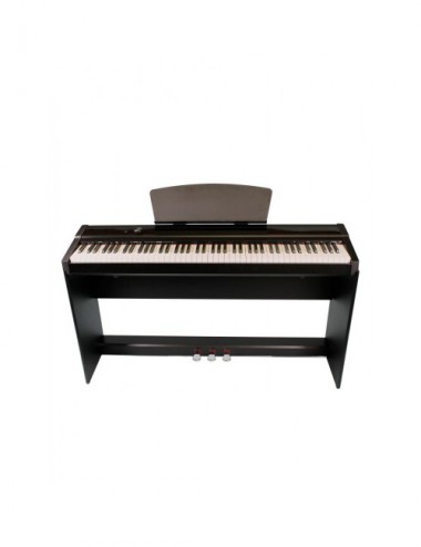 Walters P-20 Bk Piano...