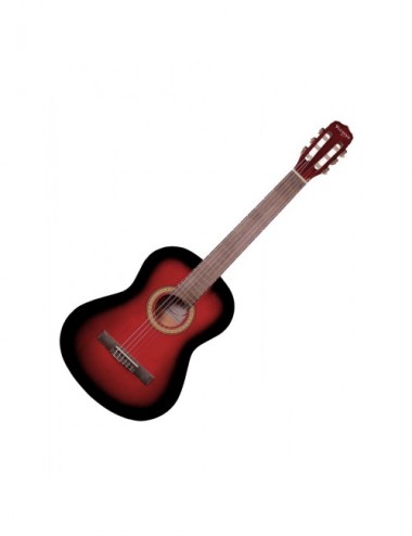 Vizcaya Arcg44 Rbt Guitarra...