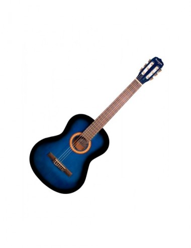 Vizcaya Arcg44 Bb Guitarra...