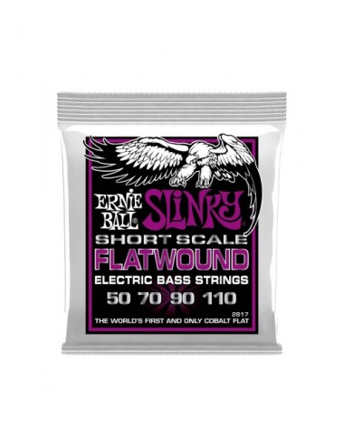 Ernie Ball P02817 Cuerdas...