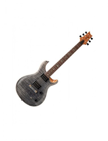 Prs Se Paul's Guitar...