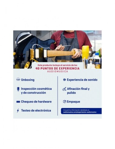 Ibanez Rg421 Mol Guitarra...