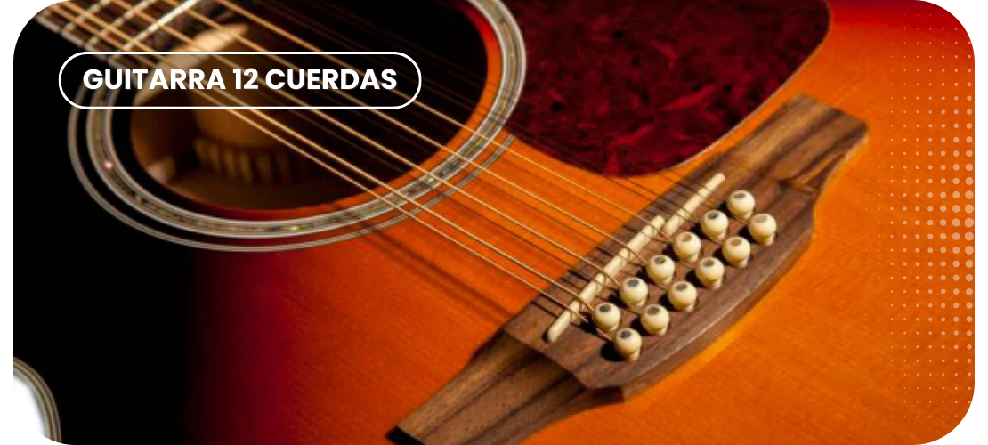 Guitarra 12 cuerdas