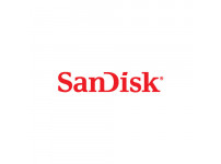 Sandisk