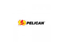 Pelican