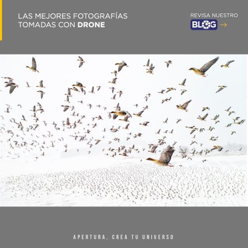 Las mejores fotografías tomadas con drone 
