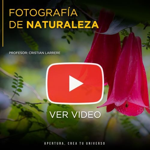 Fotografía de Naturaleza: Tips para tomar las mejores fotografías