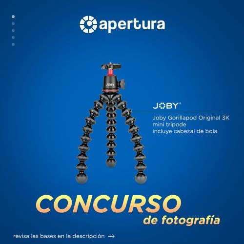 Concurso fotografía de alimentos