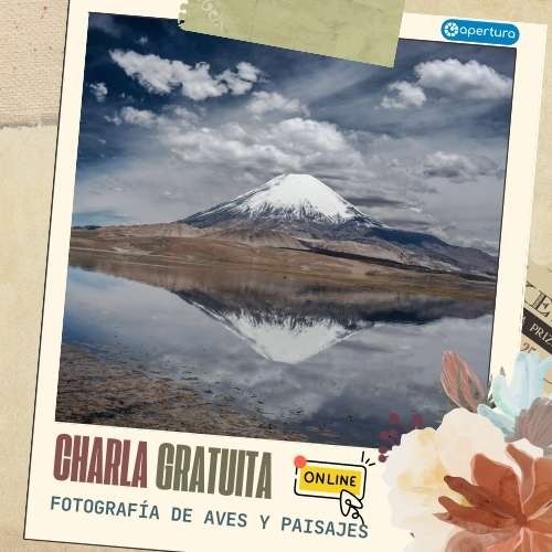 Charla gratuita Fotografía de Aves y Paisajes (ONLINE) 